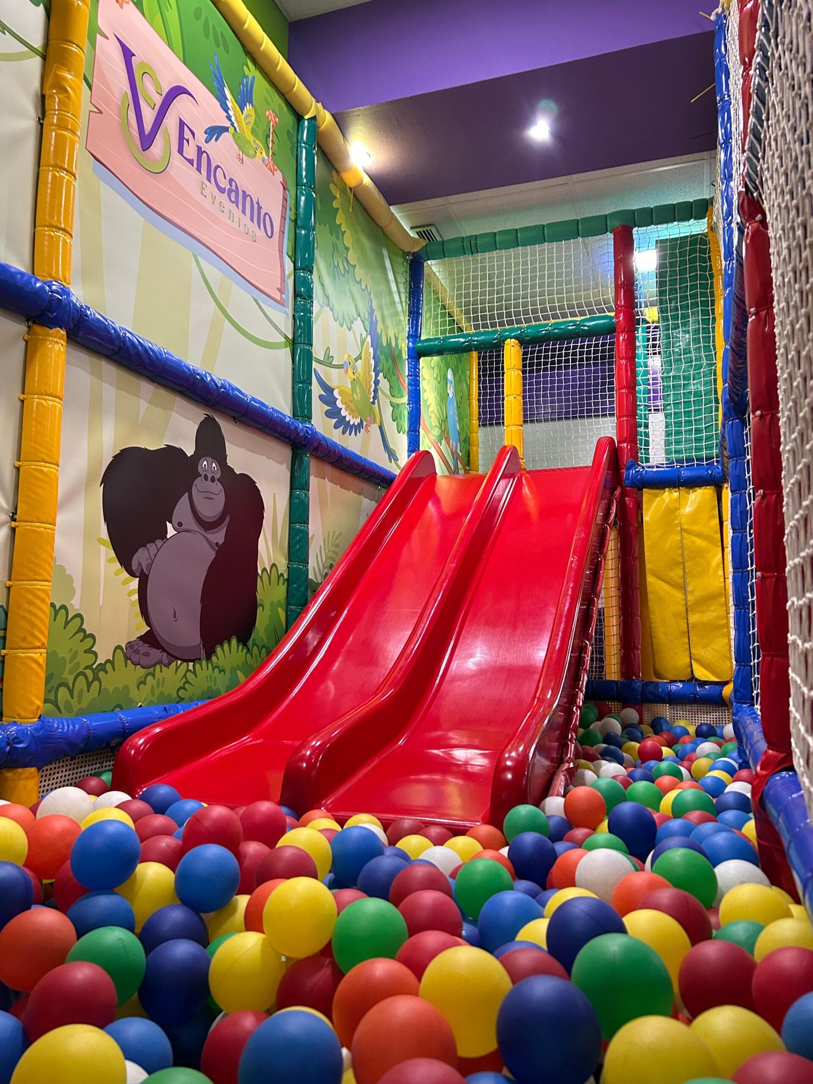 Home imagen de whatsapp 2025 04 04 a las 18.30.47 ffec558c